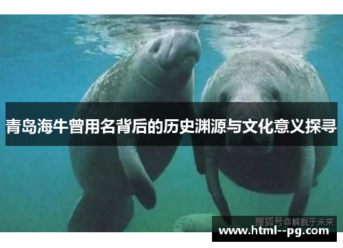 青岛海牛曾用名背后的历史渊源与文化意义探寻 青岛海牛曾用名背后的历史渊源与文化意义探寻