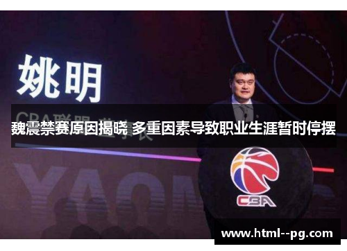 魏震禁赛原因揭晓 多重因素导致职业生涯暂时停摆 魏震禁赛原因揭晓 多重因素导致职业生涯暂时停摆